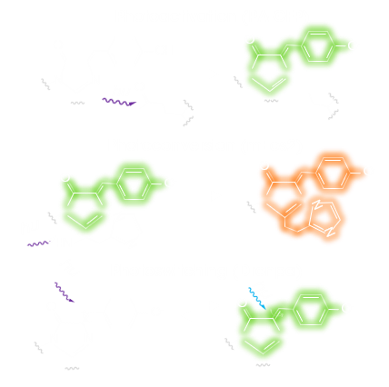 Single Molecule Localization Microscope