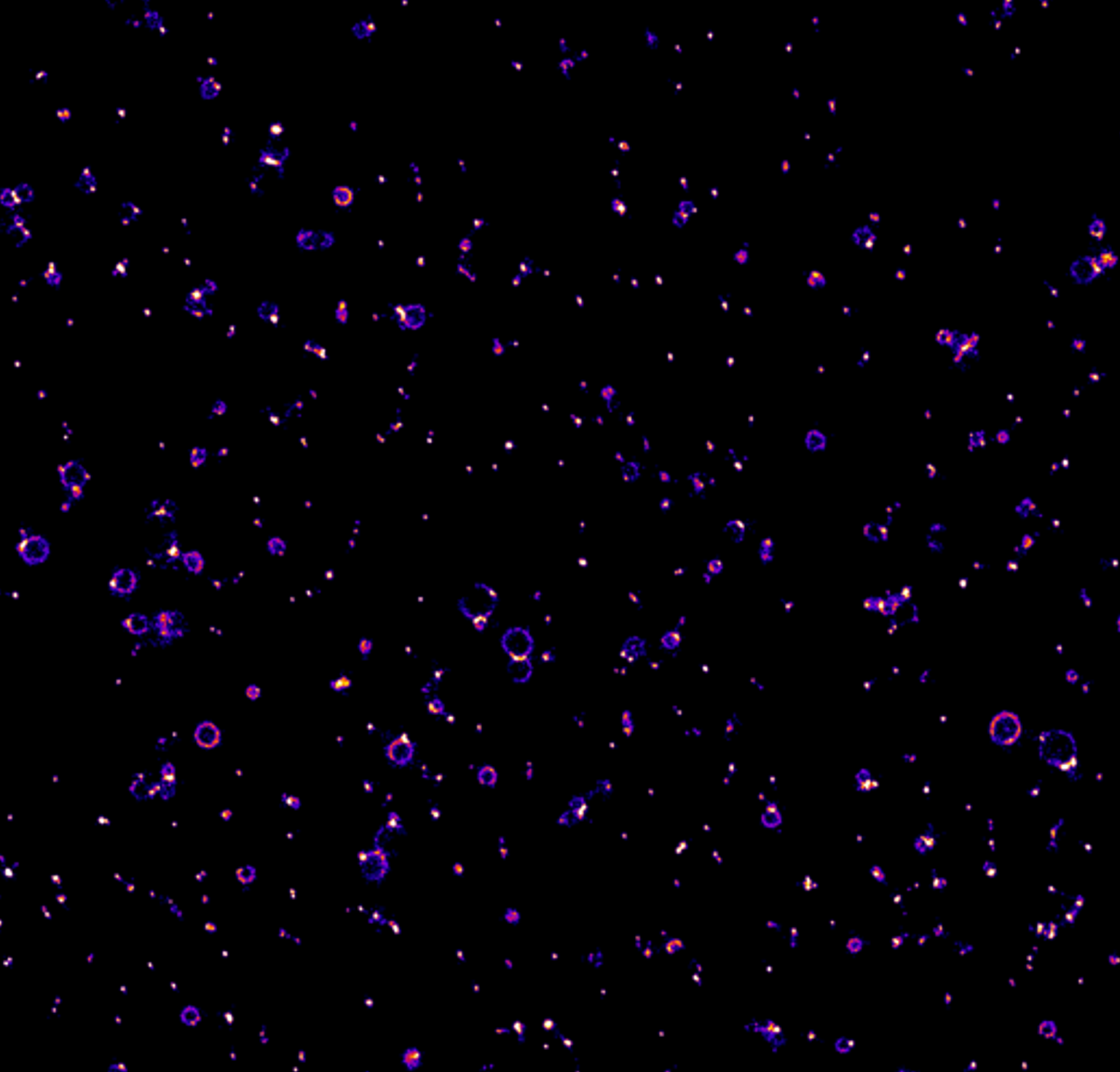 Extracellular Vesicles at the Nanoscale